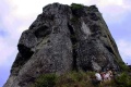 The needle.